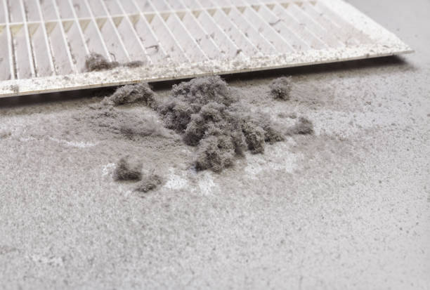Best HVAC System Cleaning  in Shadybrook, TX